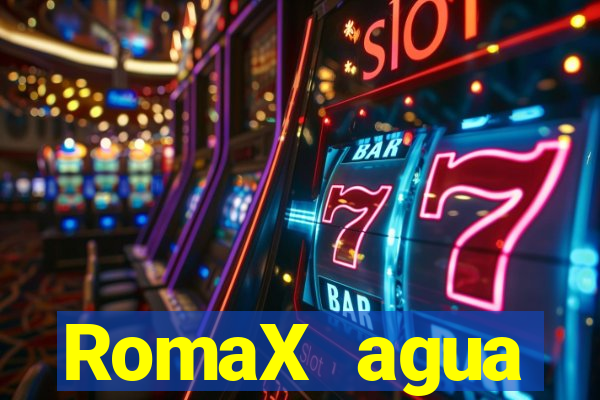 RomaX agua sanitaria fispq agua sanitaria romax